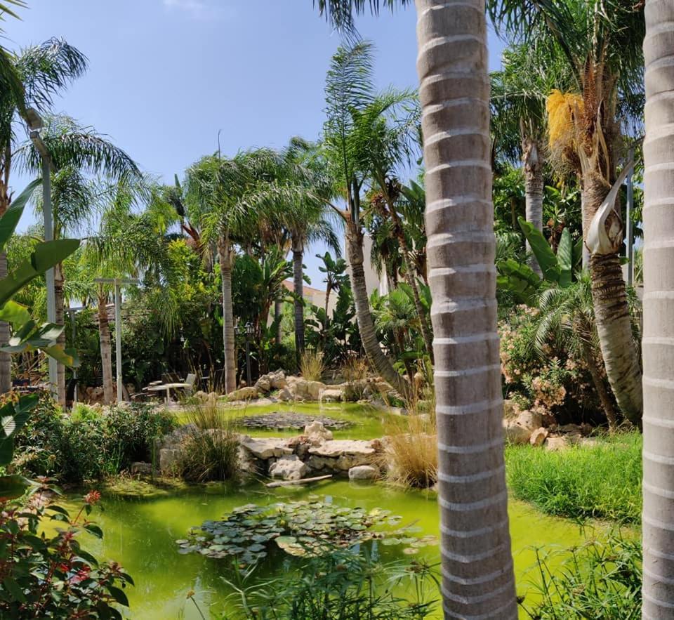 Garden Luxury Apartment ไอยานาปา ภายนอก รูปภาพ
